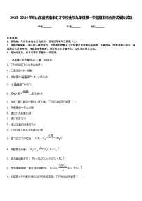 2023-2024学年山东省济南市汇才学校化学九年级第一学期期末综合测试模拟试题含答案