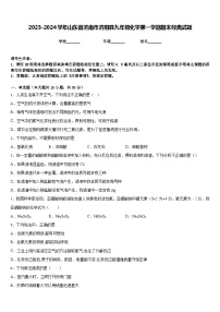 2023-2024学年山东省济南市济阳县九年级化学第一学期期末经典试题含答案