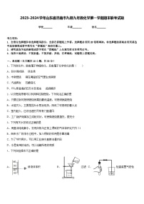 2023-2024学年山东省济南市九级九年级化学第一学期期末联考试题含答案