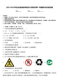 2023-2024学年山东省济南市莱芜区九年级化学第一学期期末综合测试试题含答案