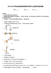 2023-2024学年山东省济南市育英中学化学九上期末综合测试试题含答案