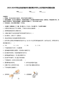 2023-2024学年山东省济南市长清区第五中学九上化学期末考试模拟试题含答案