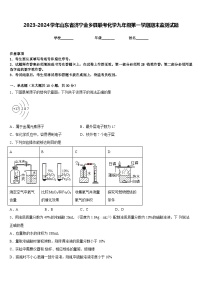 2023-2024学年山东省济宁金乡县联考化学九年级第一学期期末监测试题含答案