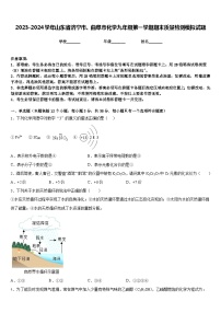 2023-2024学年山东省济宁市、曲阜市化学九年级第一学期期末质量检测模拟试题含答案