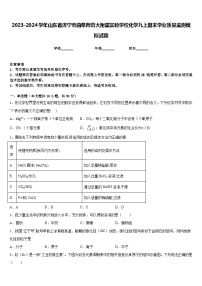 2023-2024学年山东省济宁市曲阜师范大附属实验学校化学九上期末学业质量监测模拟试题含答案