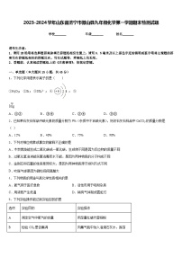 2023-2024学年山东省济宁市微山县九年级化学第一学期期末检测试题含答案