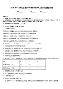 2023-2024学年山东省济宁市邹城市化学九上期末经典模拟试题含答案