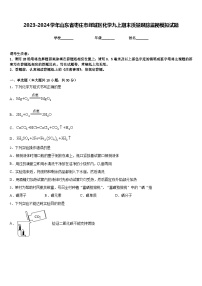 2023-2024学年山东省枣庄市峄城区化学九上期末质量跟踪监视模拟试题含答案