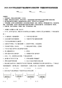 2023-2024学年山东省济宁鱼台县联考九年级化学第一学期期末教学质量检测试题含答案