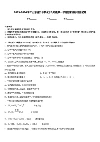 2023-2024学年山东省沂水县化学九年级第一学期期末达标检测试题含答案