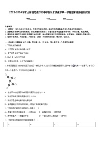 2023-2024学年山东省枣庄市市中学区九年级化学第一学期期末检测模拟试题含答案