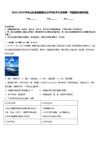 2023-2024学年山东省望留镇庄头中学化学九年级第一学期期末调研试题含答案