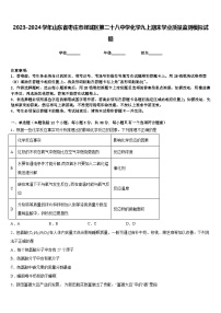 2023-2024学年山东省枣庄市峄城区第二十八中学化学九上期末学业质量监测模拟试题含答案