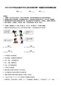 2023-2024学年山东省济宁市汶上县九年级化学第一学期期末达标检测模拟试题含答案