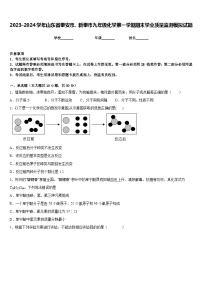 2023-2024学年山东省泰安市、新泰市九年级化学第一学期期末学业质量监测模拟试题含答案