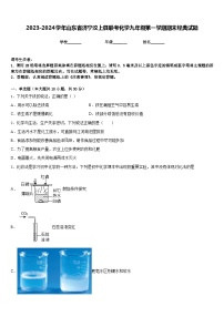 2023-2024学年山东省济宁汶上县联考化学九年级第一学期期末经典试题含答案