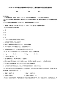 2023-2024学年山东省泰安市岱岳区九上化学期末学业质量监测试题含答案