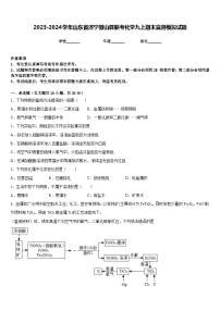 2023-2024学年山东省济宁微山县联考化学九上期末监测模拟试题含答案