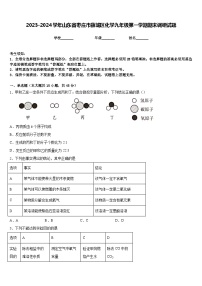 2023-2024学年山东省枣庄市薛城区化学九年级第一学期期末调研试题含答案