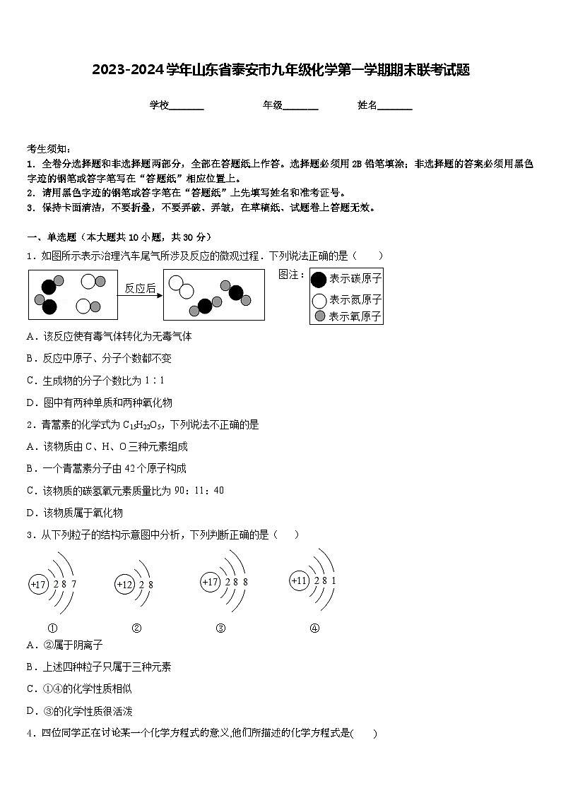 2023-2024学年山东省泰安市九年级化学第一学期期末联考试题含答案01