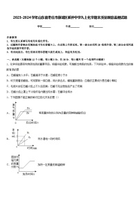 2023-2024学年山东省枣庄市薛城区奚仲中学九上化学期末质量跟踪监视试题含答案