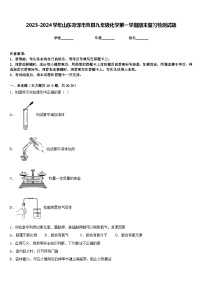 2023-2024学年山东菏泽市曹县九年级化学第一学期期末复习检测试题含答案