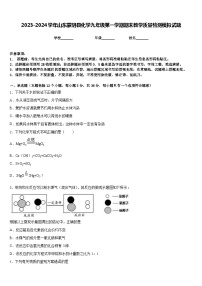 2023-2024学年山东蒙阴县化学九年级第一学期期末教学质量检测模拟试题含答案