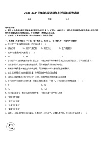 2023-2024学年山东蒙阴县九上化学期末联考试题含答案