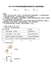 2023-2024学年山东青岛城阳区五校联考化学九上期末预测试题含答案