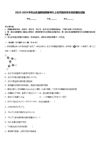 2023-2024学年山东省鄄城县联考九上化学期末综合测试模拟试题含答案