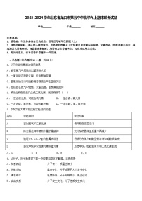 2023-2024学年山东省龙口市第五中学化学九上期末联考试题含答案