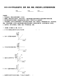 2023-2024学年山东省齐河、夏津、临邑、禹城、武城五县九上化学期末联考试题含答案