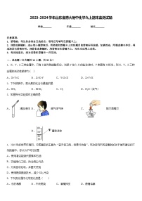 2023-2024学年山东省青大附中化学九上期末监测试题含答案