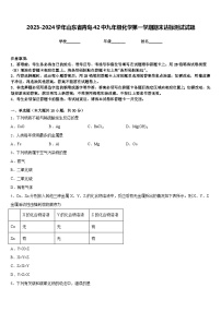 2023-2024学年山东省青岛42中九年级化学第一学期期末达标测试试题含答案