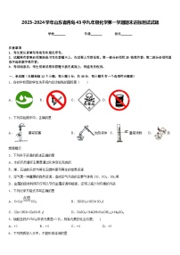 2023-2024学年山东省青岛43中九年级化学第一学期期末达标测试试题含答案