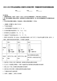 2023-2024学年山东省青岛六校联考九年级化学第一学期期末教学质量检测模拟试题含答案