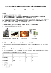 2023-2024学年山东省青岛市42中学九年级化学第一学期期末达标测试试题含答案