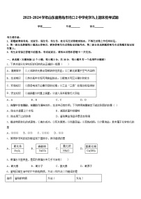 2023-2024学年山东省青岛市沧口2中学化学九上期末统考试题含答案