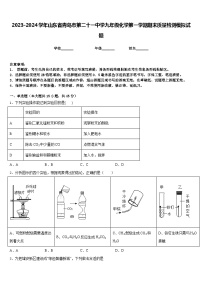 2023-2024学年山东省青岛市第二十一中学九年级化学第一学期期末质量检测模拟试题含答案