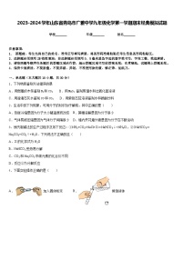 2023-2024学年山东省青岛市广雅中学九年级化学第一学期期末经典模拟试题含答案