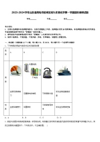 2023-2024学年山东省青岛市胶州实验九年级化学第一学期期末调研试题含答案