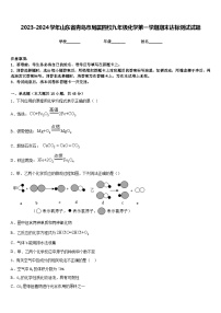 2023-2024学年山东省青岛市局属四校九年级化学第一学期期末达标测试试题含答案