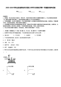 2023-2024学年山东省青岛市开发区六中学九年级化学第一学期期末联考试题含答案