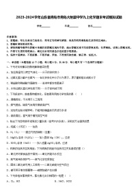 2023-2024学年山东省青岛市青岛大附属中学九上化学期末考试模拟试题含答案