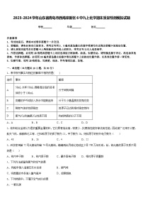 2023-2024学年山东省青岛市西海岸新区6中九上化学期末质量检测模拟试题含答案