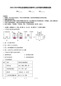 2023-2024学年山东省青岛五校联考九上化学期末经典模拟试题含答案