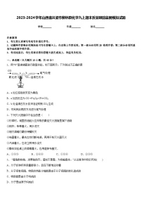 2023-2024学年山西省吕梁市柳林县化学九上期末质量跟踪监视模拟试题含答案