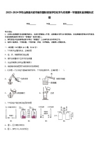 2023-2024学年山西省吕梁市蕴华国际双语学校化学九年级第一学期期末监测模拟试题含答案