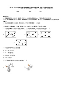 2023-2024学年山西省太原市实验中学化学九上期末达标检测试题含答案