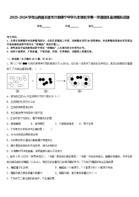 2023-2024学年山西省吕梁市兴县康宁中学九年级化学第一学期期末监测模拟试题含答案